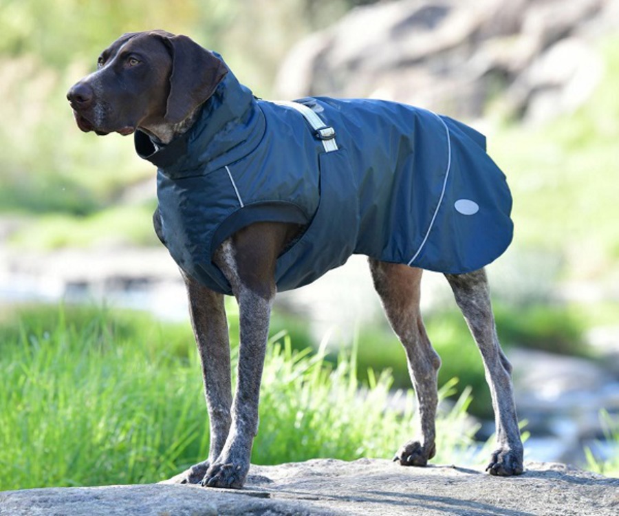 Weatherbeeta Explorer Dog Coat Medium image 1